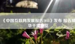 《中国互联网发展报告2018》发布 报告精华干货速览