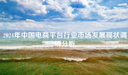 2024年中国电商平台行业市场发展现状调研分析