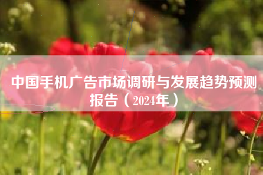 中国手机广告市场调研与发展趋势预测报告（2024年）